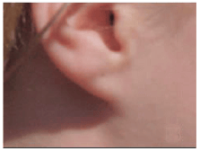 1103.png