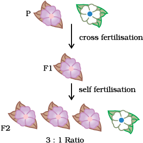 1218.png