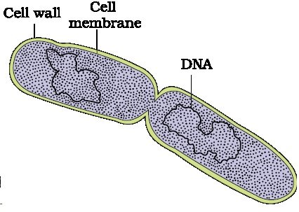 11080-7