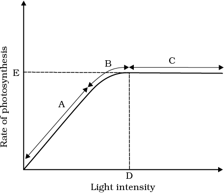 1512.png
