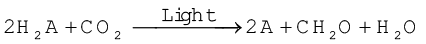 1570.png