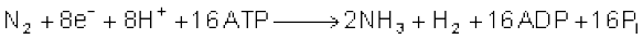 1047.png