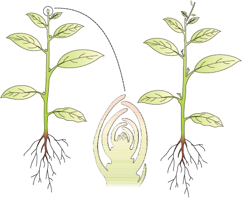 1205.png