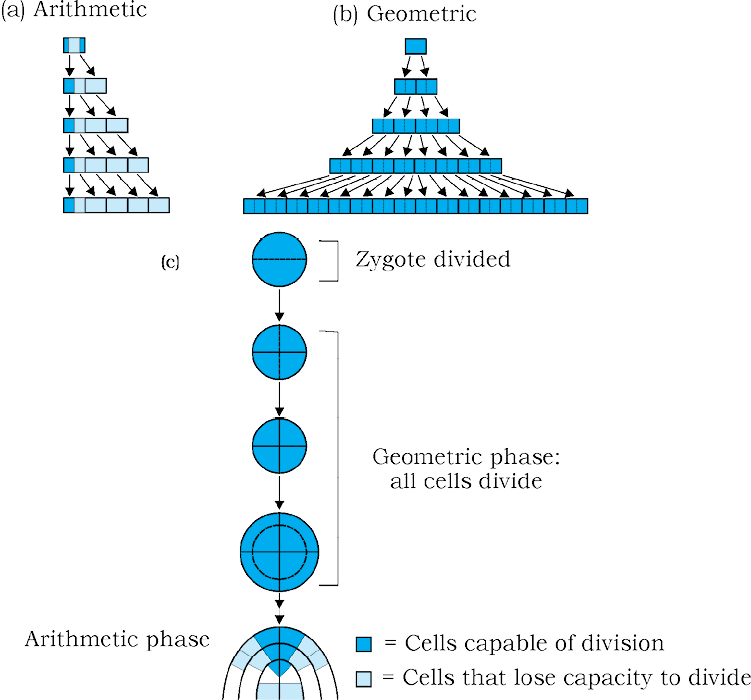 fig%2015.4.tif