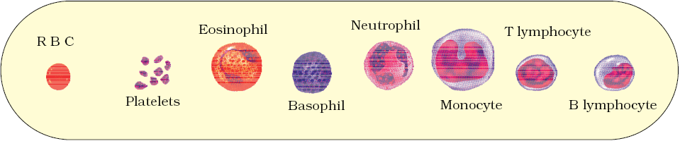 601.png