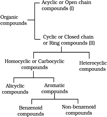 2624.png