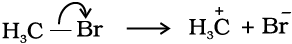 4299.png