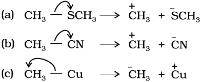 4384.png