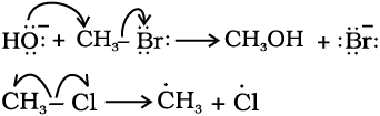 4459.png
