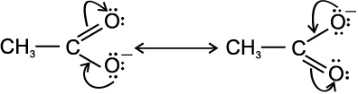 4481.png