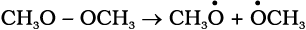 4904.png