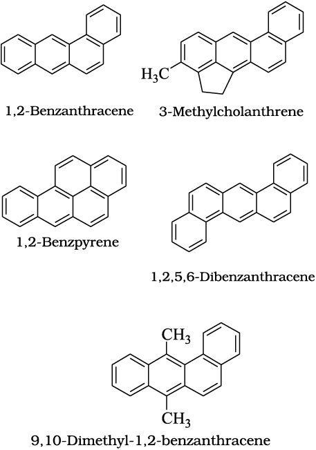 2123.png