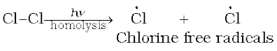 2434.png