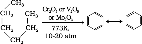 2516.png