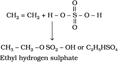 2773.png