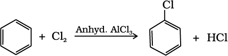 3247.png