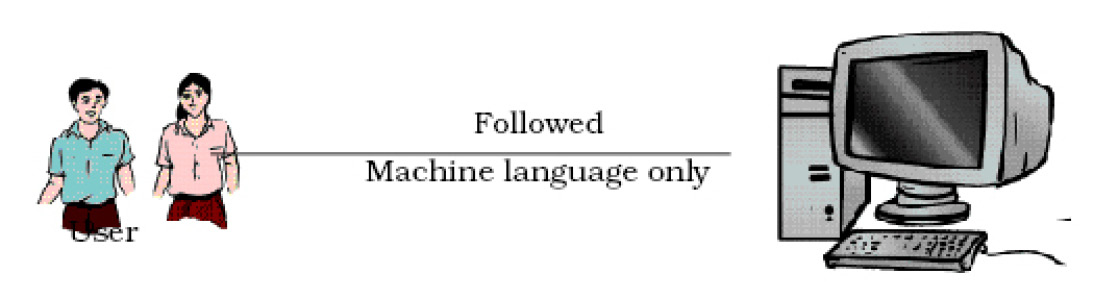 7167.jpg