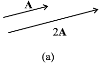 1397.png