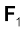 2731.png