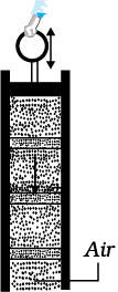 1169.png