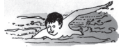 44