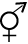 4683.png