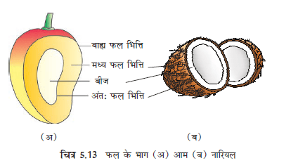 5.13