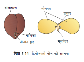 5.14