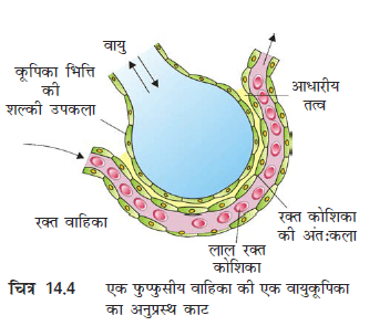 14.4