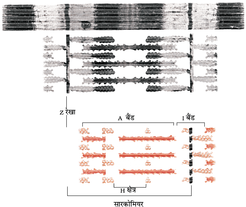 2107.png
