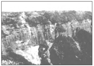 ch2fig5