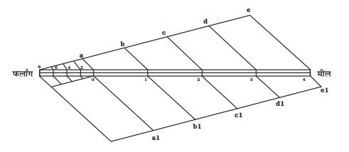 1_1a.tif