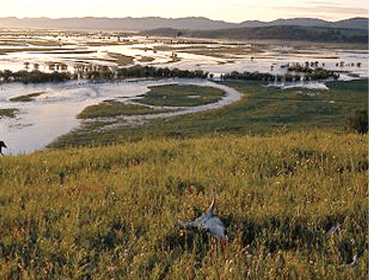 Onon%20plain%20in%20flood.tif