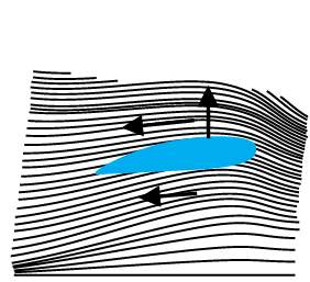 1941.png