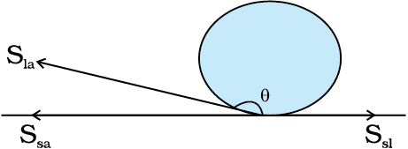 2163.png