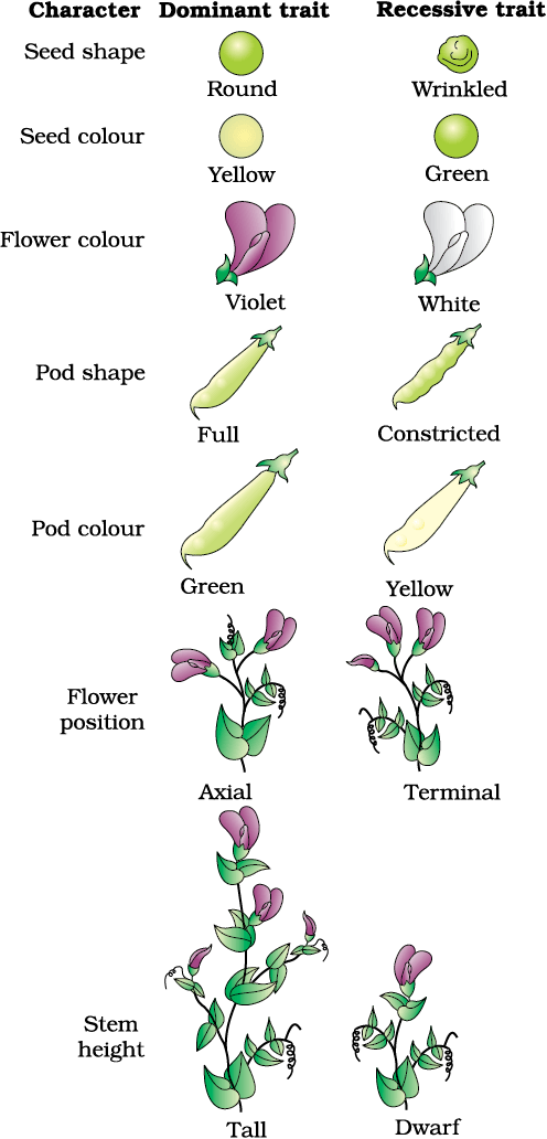 1604.png