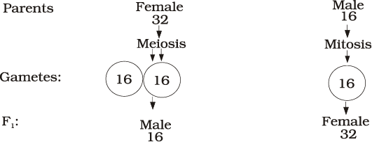 1974.png