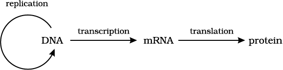 1090.png