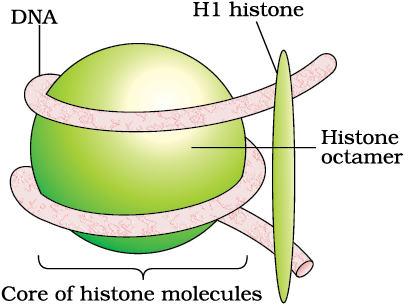 1105.png