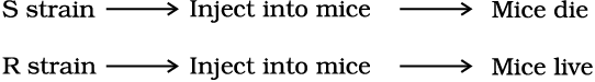 1195.png