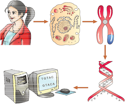 1598.png