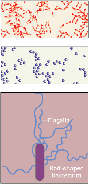 988.png
