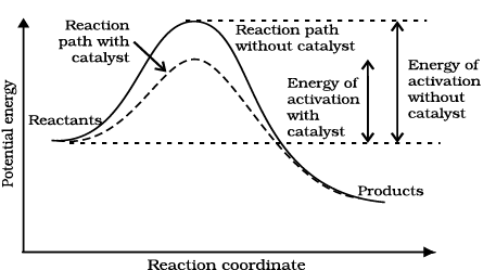 2915.png
