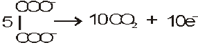 4589.png