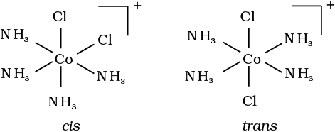 2732.png