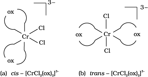 2891.png