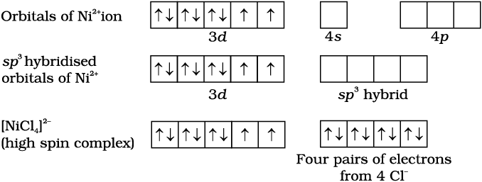 3031.png