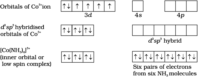 3046.png