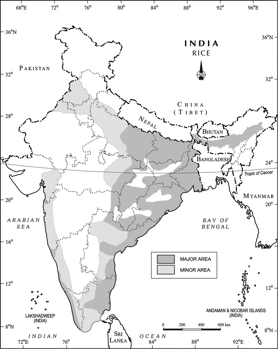 Map%205.tif