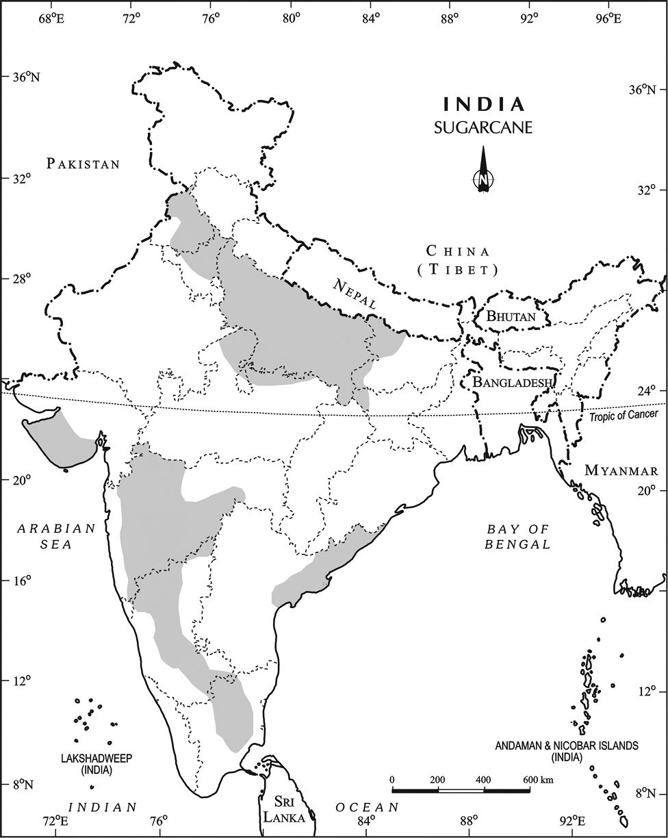 Map%208.tif